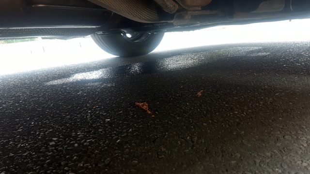 20210624_131347 groß.jpg